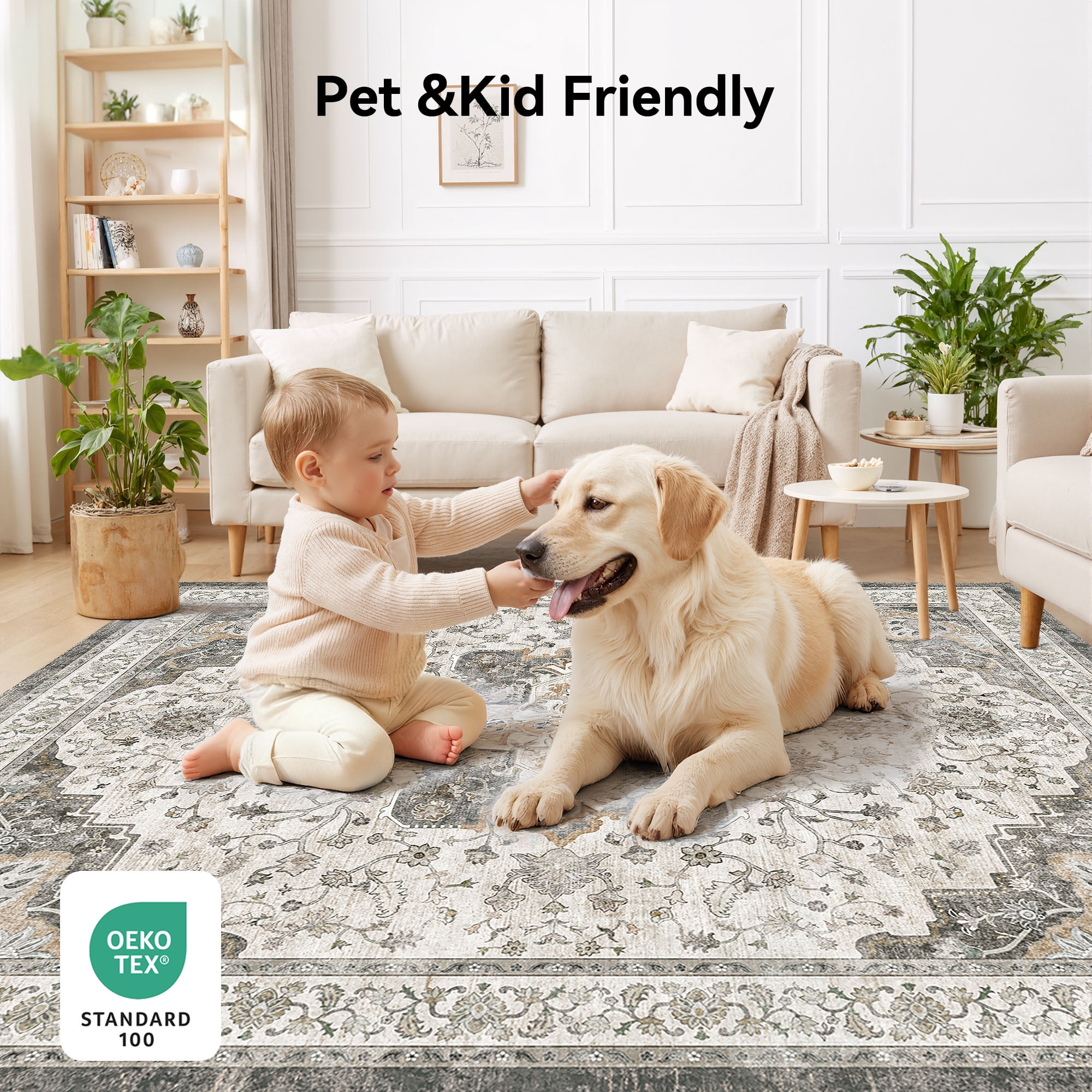 CHITOOMA 5'x7' Area Rugs for Living Room, Washable Rugs Vintage Soft Living Room Rug for Bedroom Dining Room Dorm Office with Non-Slip Backing, Stain Resistant Non-Shed Carpet
