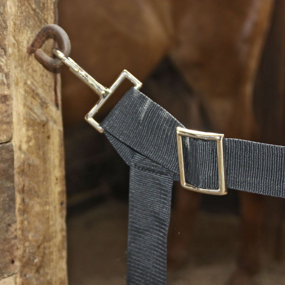 Dura-Tech Cordura Stall Guard | Heavy Duty Vinyl-Coated Polyester Center | 2-Inch Nylon Web Straps | Adjustable from 36 to 48 Inches | Ideal for Home or Show Use | Color Navy