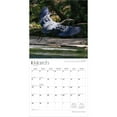 thumbnail image 3 of North Carolina Wild & Scenic | 2026 12x24" (Hanging) Wall Calendar | Plastic-Free, 3 of 9