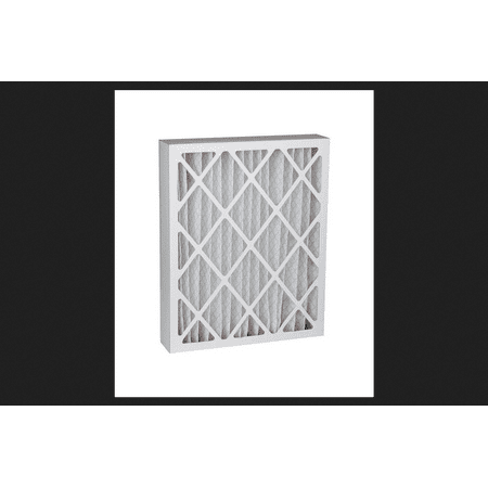 Best Air 16 in. L x 20 in. W x 4 in. D Pleated Air Filter 8 (Best Air Filtering Plants)