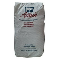 Attain Tetraploid Annual Ryegrass Seed - 50 Lbs.