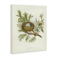 thumbnail image 4 of Stupell Industries Forest Bird Nest on Branch Plants & Flowers Painting Wrapped Canvas Art Print Wall Art, 16 x 20, 4 of 8