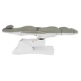 thumbnail image 2 of SKINACT Bents Electric Medical Spa Treatment Chair/Table (Taupe), 2 of 8