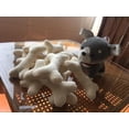thumbnail image 4 of Juguete de peluche hueso muñeca regalo perro artificial comida para perros mordida muñeca creativa almohada juguete para mascotas-cebolla china verde-Dontodent Kuyhfg Sin marca, 4 of 5