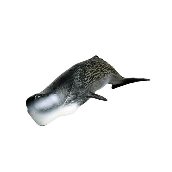 Ocean Whale Figures Animals Shark Sea Life Megalodon Monster Shark Marine Educational Toys for Kids Sperm Whale E