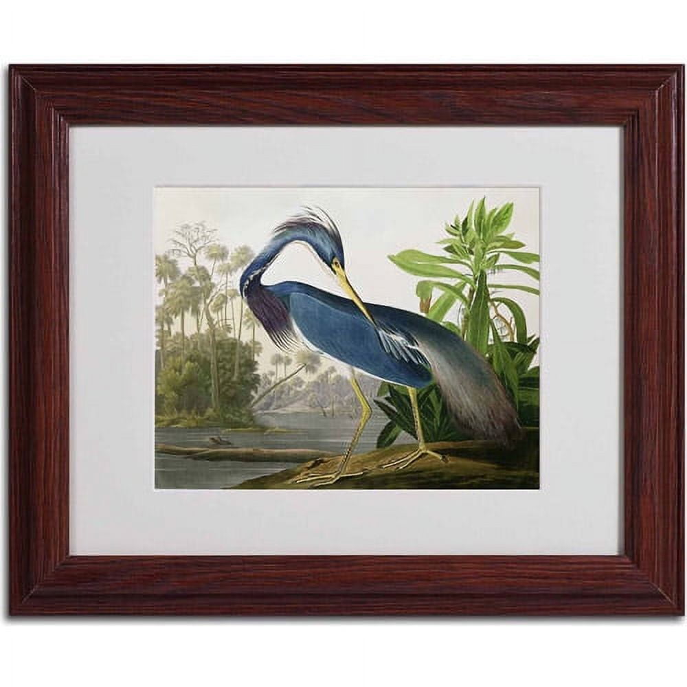 Trademark Fine Art "Louisiana Heron" Canvas Art by John James Audubon, Wood Frame