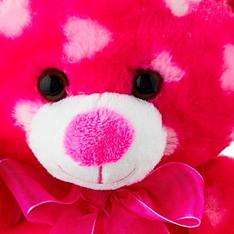 Hot pink 2025 teddy bear