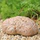 thumbnail image 2 of Almacenamiento de llaves de repuesto de rocas falsas, adorno decorativo de piedra para jardín, ocultador de llaves de rocas de aspecto real resistente al agua, rendimiento práctico para patio al, 2 of 9