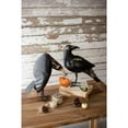 thumbnail image 2 of GwG Outlet Recycled Iron Crows Holding A Pumpkin, Set of 2, Black, 2 of 4
