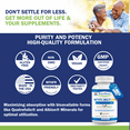 thumbnail image 6 of Methyl Multi One: Vegan Methylated Multivitamin for Men & Women With Methylfolate, Acive B12, B6, Zinc, Iron-Free, 60 Capsules, Once Daily for 60 Day Supply, 6 of 10
