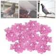 thumbnail image 3 of Yinanstore 100x Reusable Birds Foot Bands Pigeon Leg Rings Racing Plastic Tags Numbered Training Identify Tool for Small Poultry, , Finch, Parrots , Red, 3 of 8