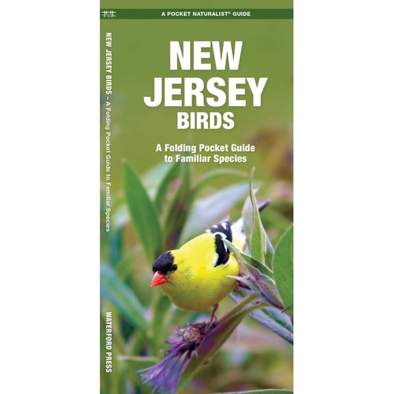 Pocket Naturalist Guides: New Jersey Birds: A Folding Pocket Guide to Familiar Species (Paperback)