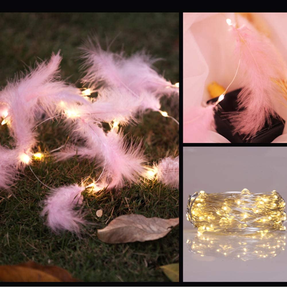 Feather 2024 fairy lights