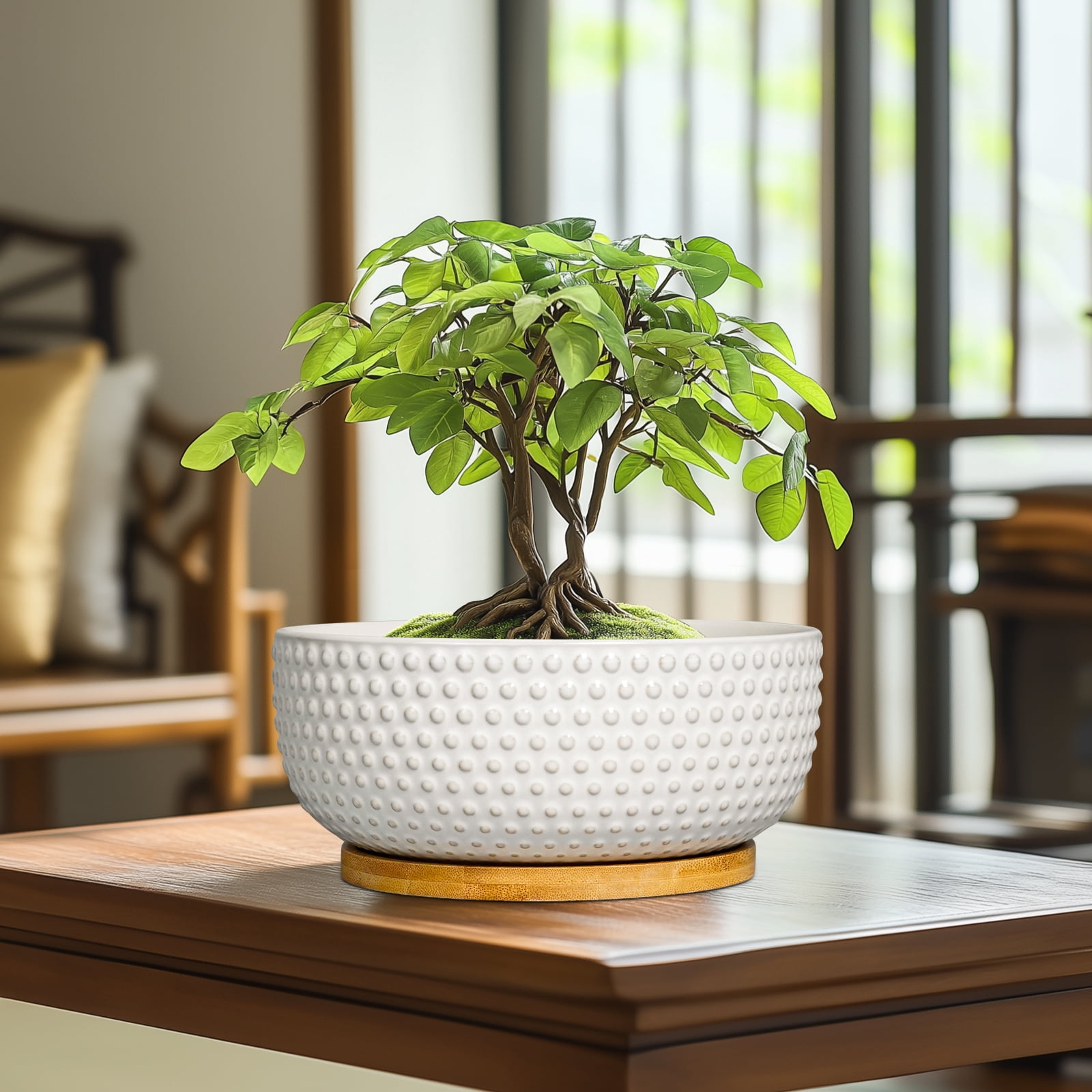 Ordivic 8 inch Round Off-White Ceramic Bonsai Pot with Drainage Hole & Saucer, Shallow Planter Bowl for Home Decor & Indoor Succulents