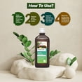 thumbnail image 3 of Mukti Gold Hairwash Combo (500 ml)-Pack of 2 | Made with 100% Ayurvedic Herbs Juice & Extracts, 3 of 6