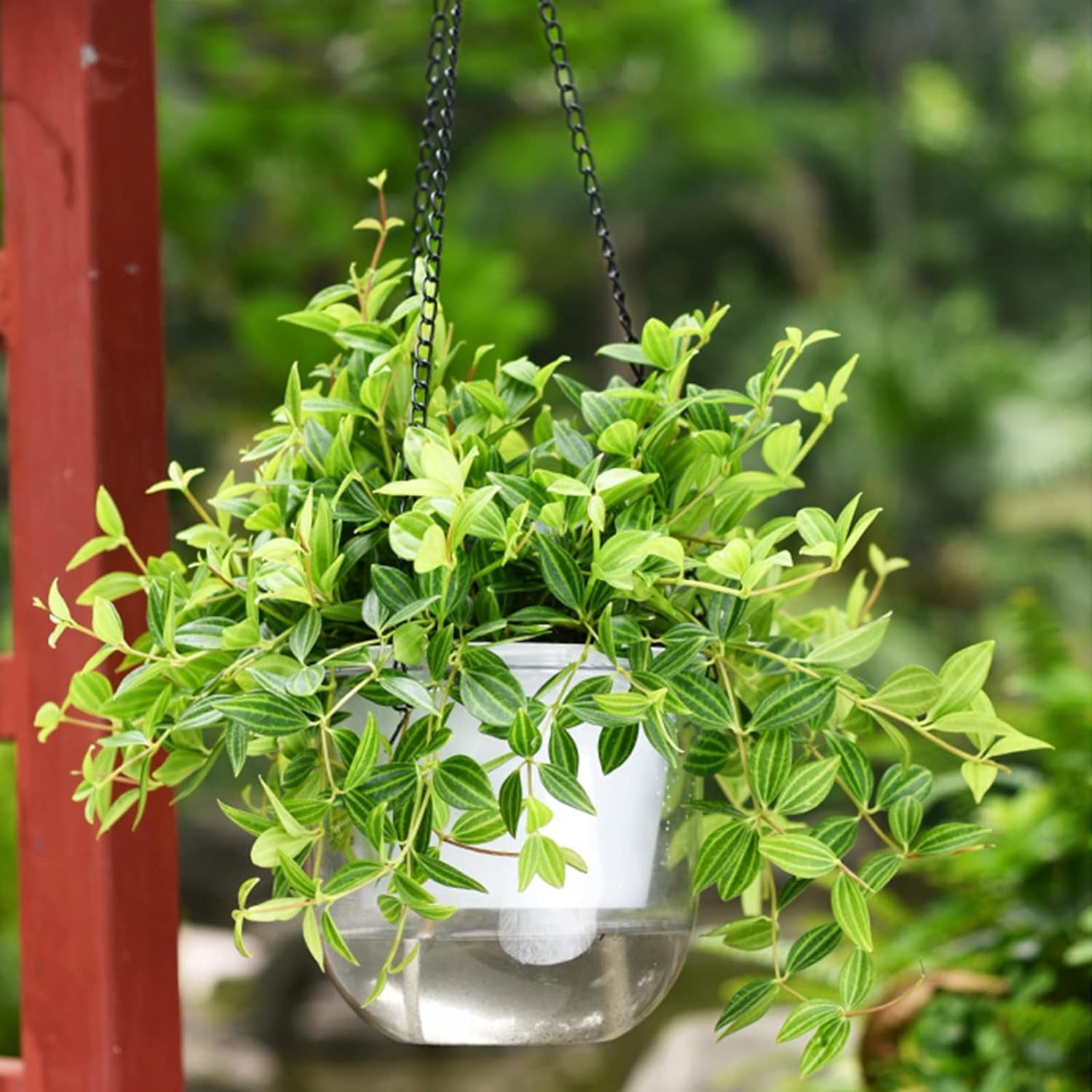 Bexikou 3Pcs Self-Watering Hanging Flower Pot Plants,Indoor Hanging Flower Pots with Drainage Holes for Indoor Outdoor