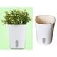thumbnail image 2 of perezosa, de riego automático, para el hogar, jardín, balcón, decoración - S Sunnimix Macetas de riego automático, 2 of 8