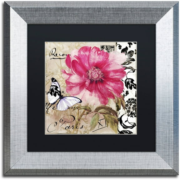 Trademark Fine Art "Le Pink" Canvas Art by Color Bakery Black Matte, Silver Frame