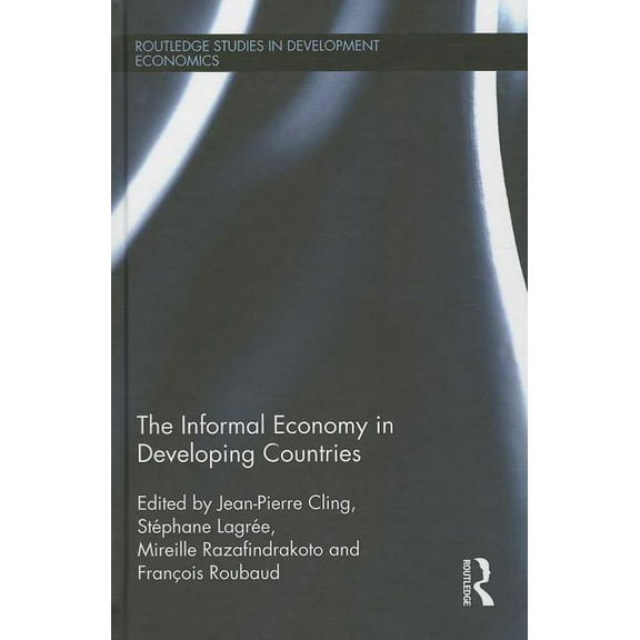 Routledge Studies in Development Economi The Informal Economy in Developing Countries, (Hardcover)