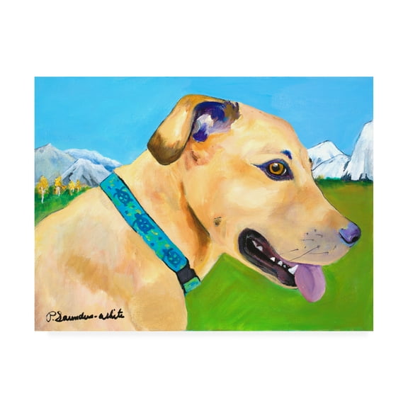 Trademark Fine Art 'Hadley X Large Copy' Canvas Art by Pat Saunders-White