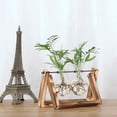 thumbnail image 3 of Grandest Birch Desktop Clear Glass Planter Bulb Vase Terrarium Retro Wood Stand Home Decor Clear Desktop Decor Terrarium Wood Stan, 3 of 8
