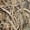 A1, variant on 3-Pack Duck Hunting Camo Shorts Men, Inseam Camo Mesh Design Breathable for Running, Training, Gym Workouts