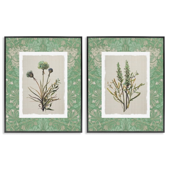 Stupell Industries Green Tone Herbal Blooms 2 Piece Black Framed Giclee Art Set, design by Carol Robinson