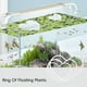 thumbnail image 1 of Anillo de Planta Flotante Creativos Personalizados Anillo de Planta Flotante Anillo de plantas flotantes, 1 of 9