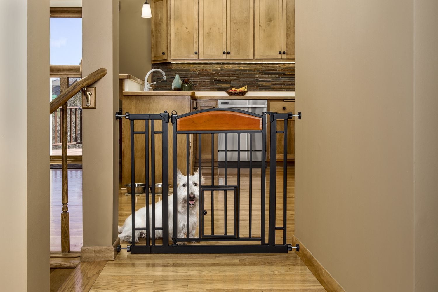 Carlson Pet Products Design Studio Home Decor Walk through Pet Gate