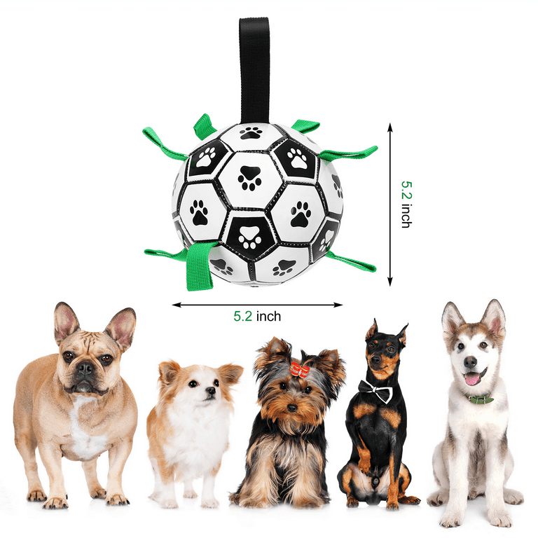 LOTMIAI Dog Soccer Ball Toy Pet Interactive Ball for Indoor Outdoor, Puppy  Birthday Gifts Durable, Funny Dog Water Toy