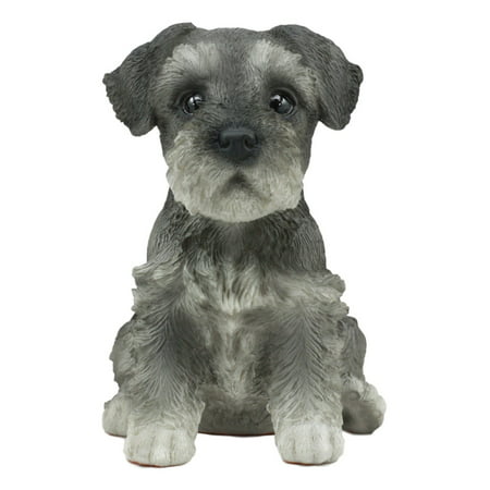 Ebros Realistic Miniature Schnauzer Puppy Statue 6.5