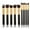 BlackGold, variant on Make Up Brushes, Pinkiou 10pcs Makeup Brush Set, Premium Synthetic Foundation Blending Makeup Brushes Kit(Black Silver)