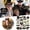 C, variant on Event & party supplies,53 Pieces Black Golden Photo Booth Props For Birthday Wedding New Year Mix Of Hats Lipstick Tie Crowns And More Funny Selfie Props
