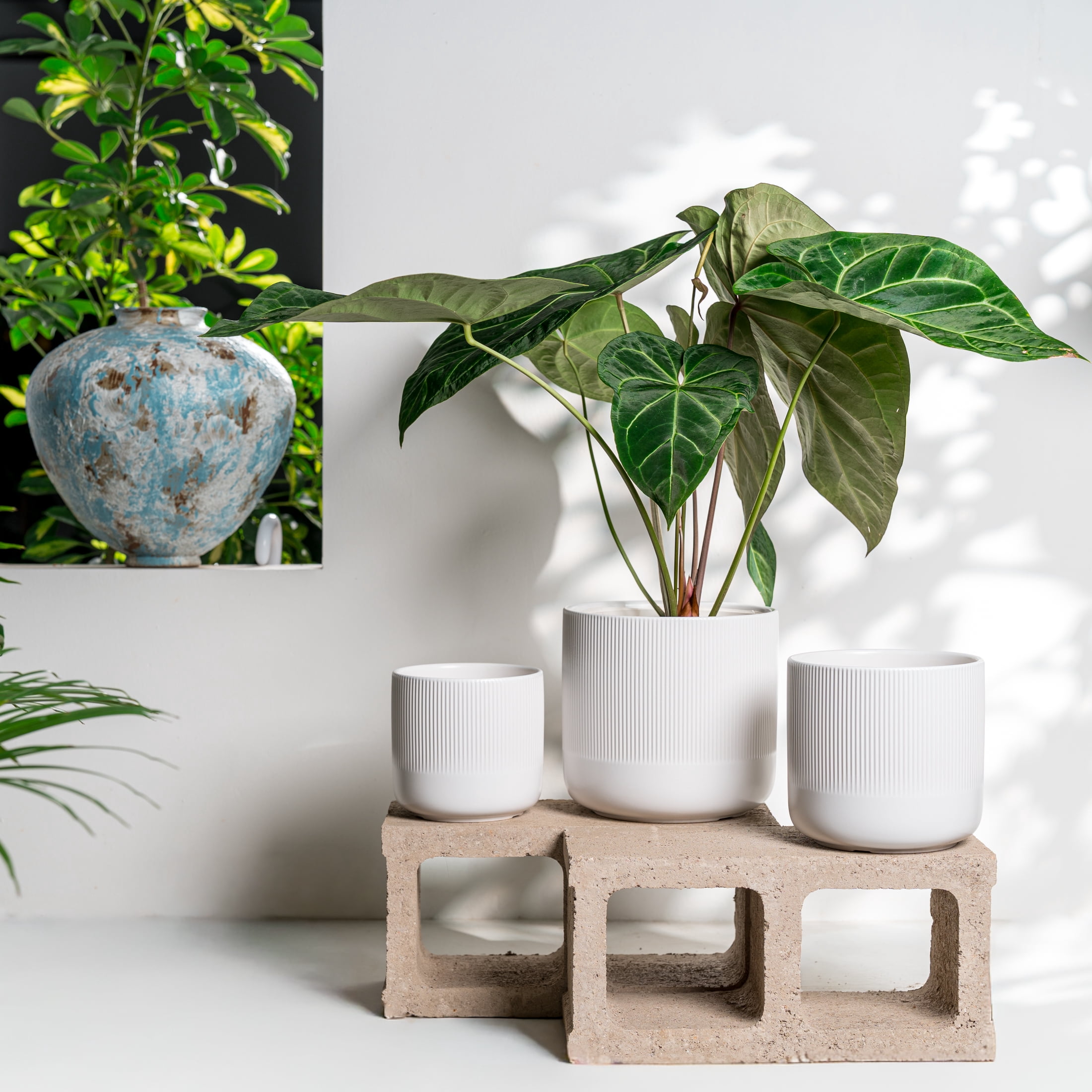 UMIAMOY Cylinder Ceramic Plant Pots,5.8+6.9+8.3 inch Plant Pots with Drainage Holes and Saucer,Set of 3 Ceramic Flower Pots for Indoor Outdoor Decoration,White