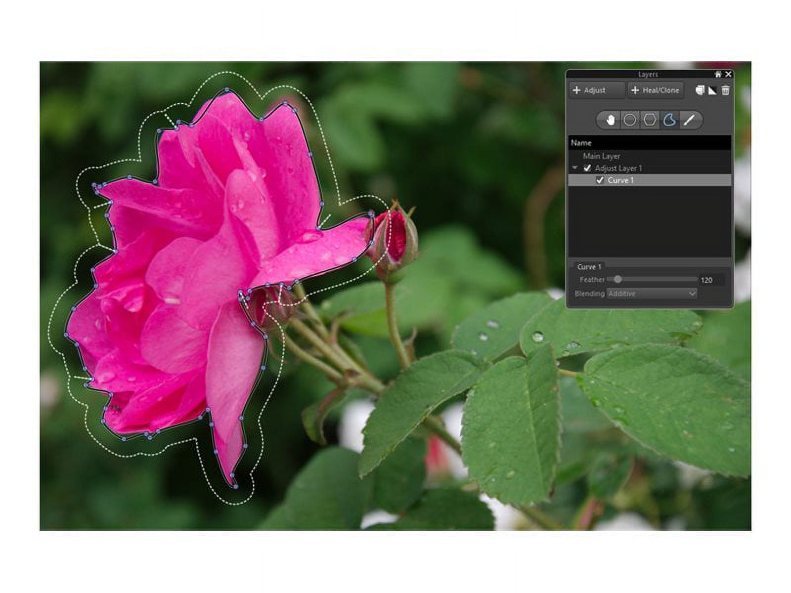 Roxio Creator NXT v.5.0, License, 1 User