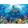 thumbnail image 2 of Educa Borras  Genuine Puzzles, 500 Pieces, Great White Shark (18478), 2 of 2