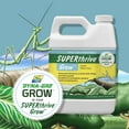 thumbnail image 3 of Super Thrive Grow Liquid Plant Food Fertilizer 7-9-5 , 32 oz., 3 of 10