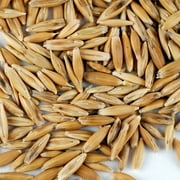 Handy Pantry Brand Whole Oat Grain Plant Seeds, Non-GMO