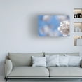 thumbnail image 2 of Canvas Wall Art - Life BeautifuLEE 'White Flowers Kissing Blue Sky 8' Wall Art for Living Room, Bedroom, or Office Décor by Trademark Fine Art - 32 x 22 Inches, 2 of 4