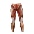 thumbnail image 2 of High Waisted Butt Lifting Leggings Muscle Print Yoga Pants for Women S-XXL, 2 of 5