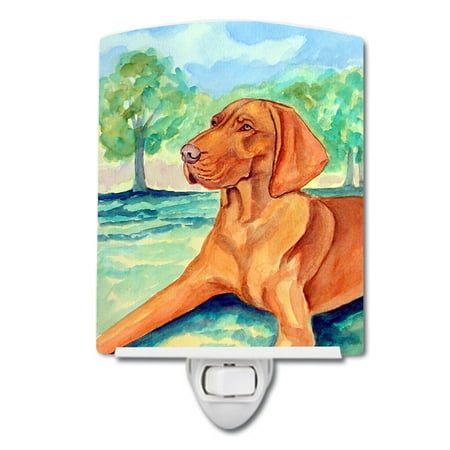 

Caroline s Treasures 7264CNL Vizsla Ceramic Night Light 6x4x3 multicolor
