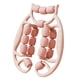 thumbnail image 5 of Rodillo muscular de fascia de 18 ruedas, rodillo de , puntos de presión, relajación manual, músculos , abrazadera, rodillo de pierna, Rosa, 5 of 8