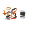 thumbnail image 3 of 12x Match Cards Juego de rompecabezas Juguete avícos Sunnimix juguetes de aprendizaje para niños pequeños, 3 of 8
