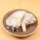 thumbnail image 2 of Indoors Cat Scratching Board No Crumbs Falling Pet Scratching Bowl for Pet' Relief Stress, 2 of 5