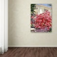 thumbnail image 3 of Trademark Fine Art "Pink Bougainvillea Mansion" Canvas Art by David Lloyd Glover, 3 of 3