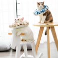 thumbnail image 5 of Protective Pet Collar, Adjustable Pets Surgery Recovery Soft Collar Anti-Bite Collar for Cat After Surgery (M), 5 of 5