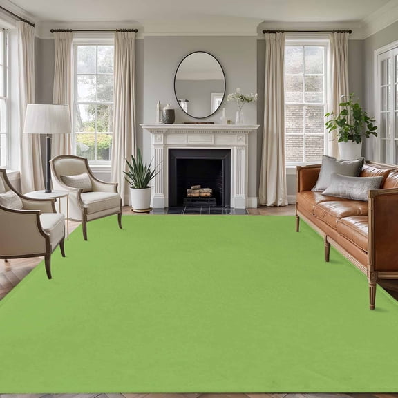 5'x7' Area Rugs, Avocado Green Indoor Outdoor Area Rug for Living Room Bedroom, Solid Color Farmhouse Green Washable Bathroom Rugs Kitchen Floor Carpet Mats Home Decor Aesthetic
