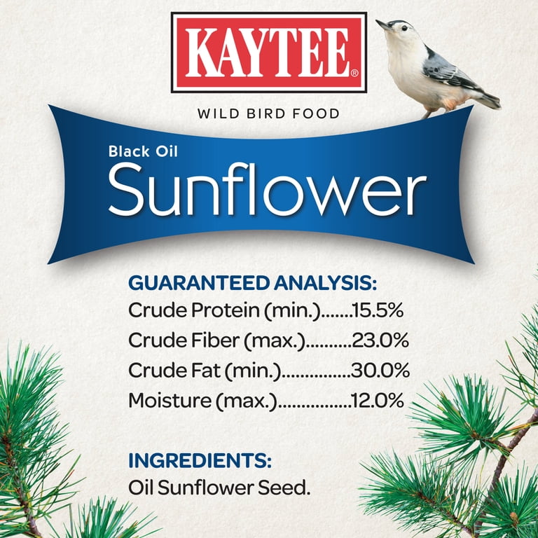 Kaytee Black Oil Sunflower Wild Bird Food, 5 Lb photo 6