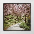 thumbnail image 1 of Weddle, Ryan Harson 20x20 White Modern Wood Framed Museum Art Print Titled - Virtues II, 1 of 4