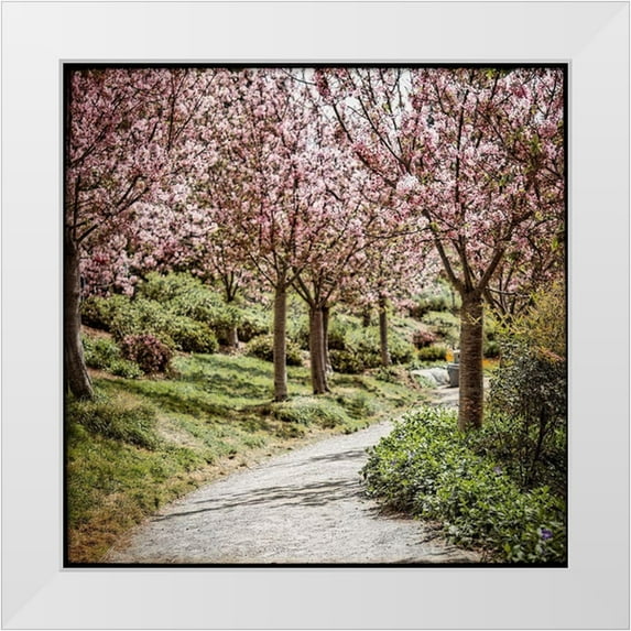 Weddle, Ryan Harson 20x20 White Modern Wood Framed Museum Art Print Titled - Virtues II